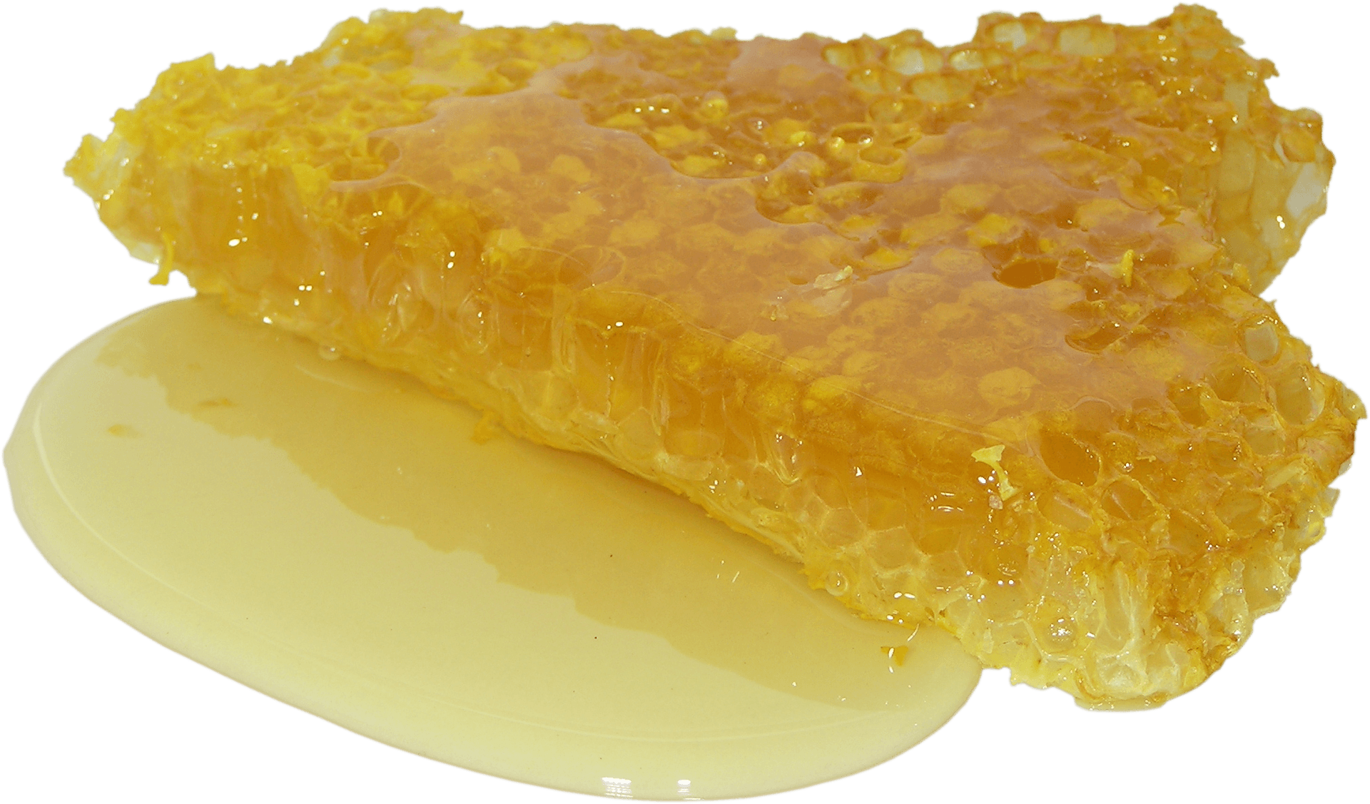 honey-2201210_1920